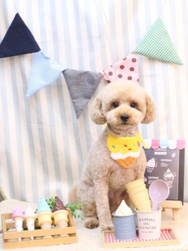 20250522モナカくん